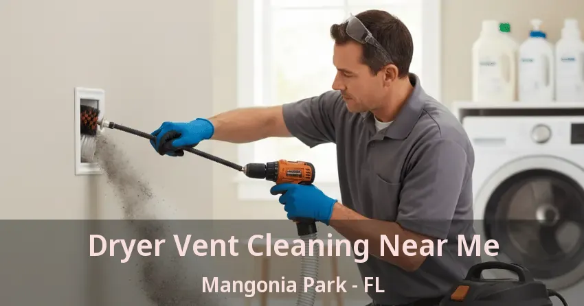 Dryer Vent Cleaning Near Me Mangonia Park - FL