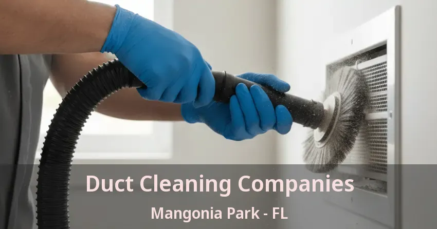 Duct Cleaning Companies Mangonia Park - FL