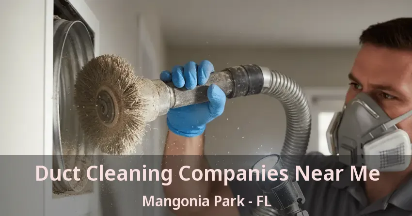 Duct Cleaning Companies Near Me Mangonia Park - FL