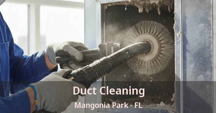 Duct Cleaning Mangonia Park - FL Duct Cleaning Mangonia Park - FL