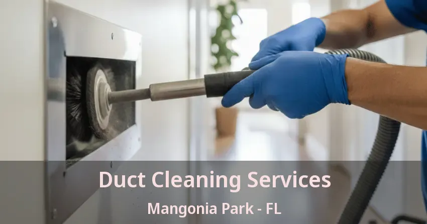 Duct Cleaning Services Mangonia Park - FL