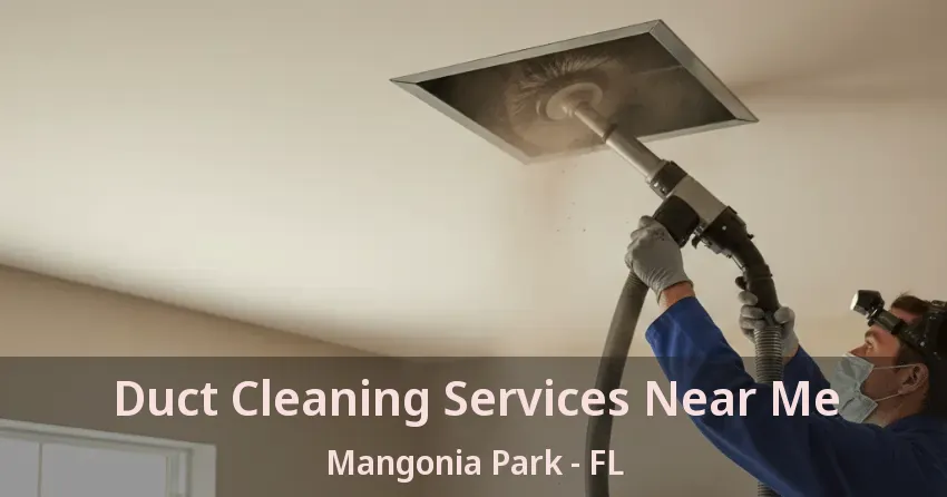 Duct Cleaning Services Near Me Mangonia Park - FL