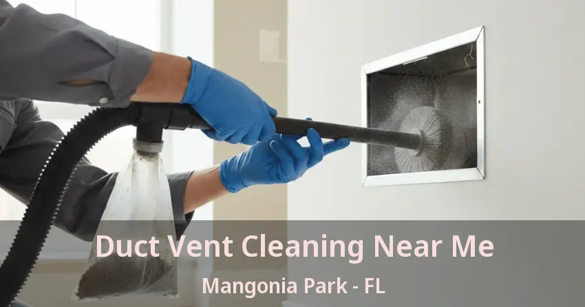 Duct Vent Cleaning Near Me Mangonia Park - FL