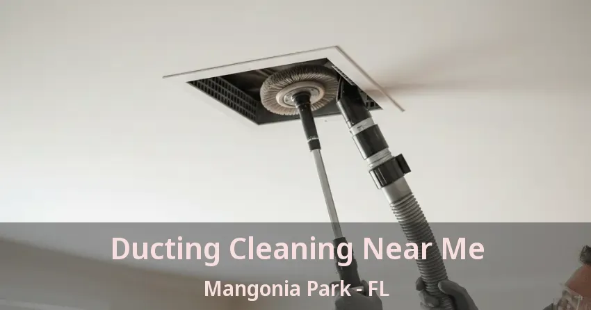 Ducting Cleaning Near Me Mangonia Park - FL