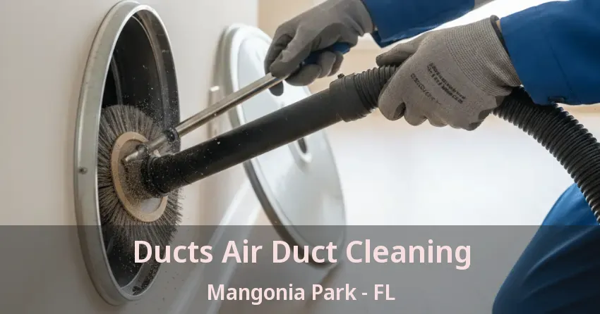 Ducts Air Duct Cleaning Mangonia Park - FL