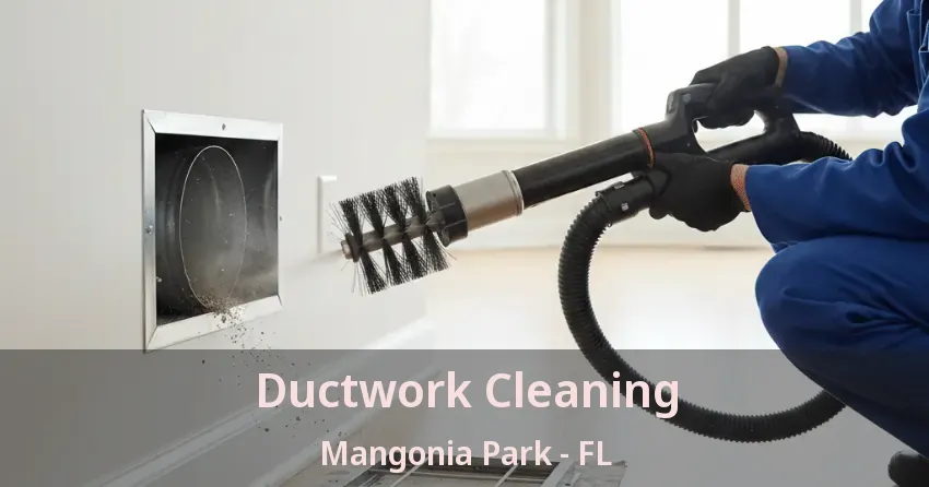 Ductwork Cleaning Mangonia Park - FL