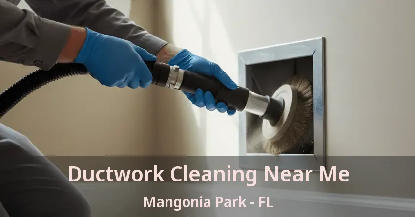 Ductwork Cleaning Near Me Mangonia Park - FL