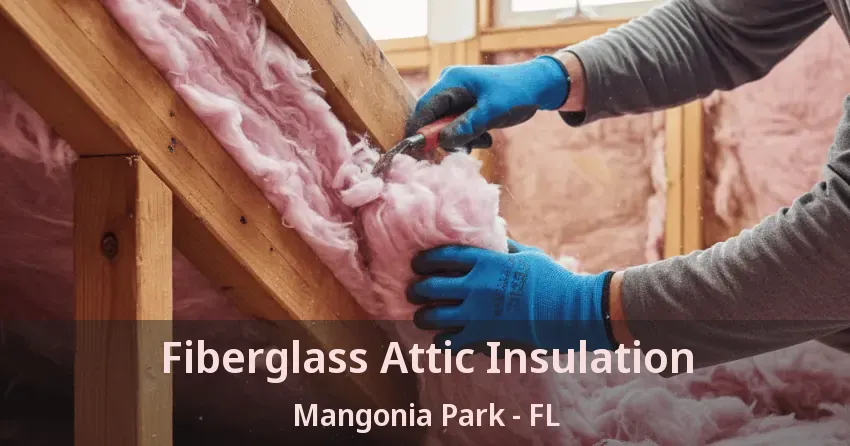 Fiberglass Attic Insulation Mangonia Park - FL