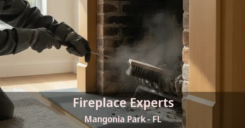 Fireplace Experts Mangonia Park - FL