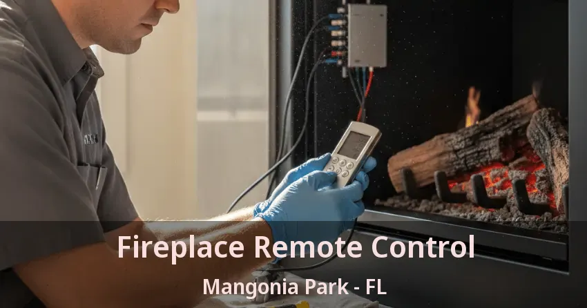 Fireplace Remote Control Mangonia Park - FL