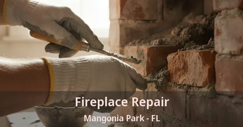Fireplace Repair Mangonia Park - FL