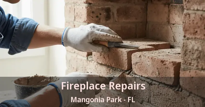 Fireplace Repairs Mangonia Park - FL Fireplace Repairs Mangonia Park - FL