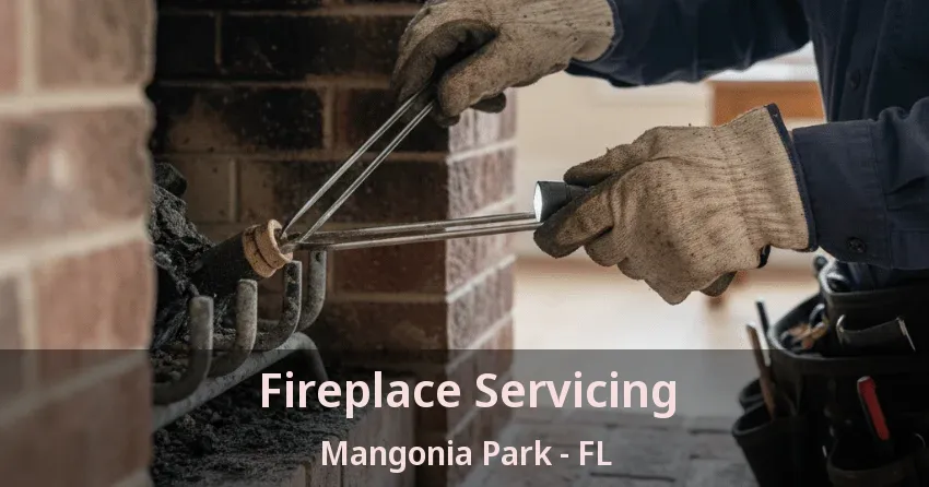 Fireplace Servicing Mangonia Park - FL Fireplace Servicing Mangonia Park - FL