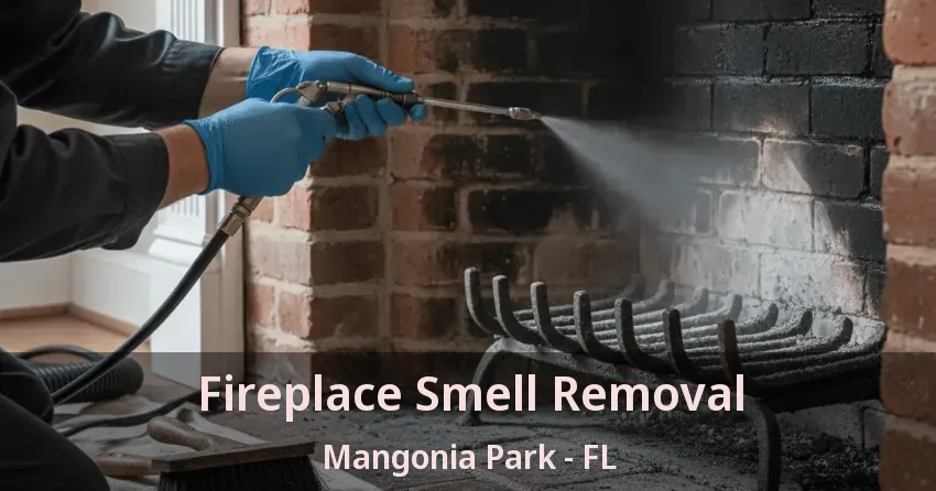 Fireplace Smell Removal Mangonia Park - FL