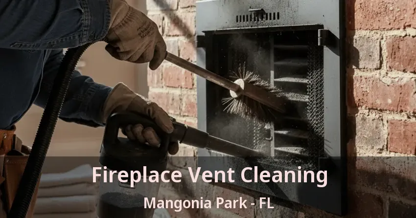 Fireplace Vent Cleaning Mangonia Park - FL
