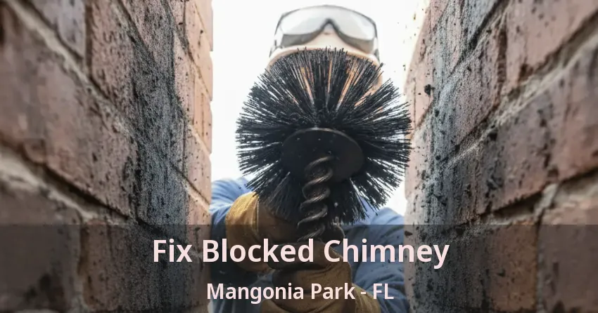 Fix Blocked Chimney Mangonia Park - FL