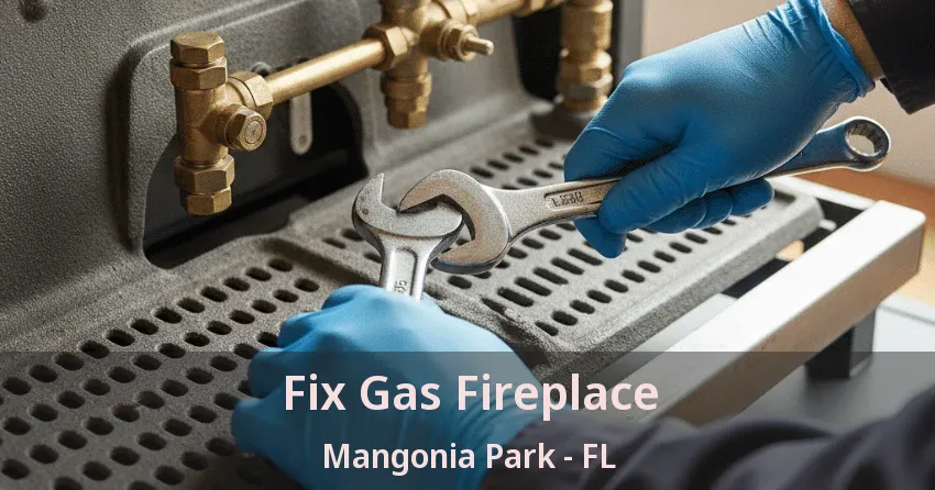 Fix Gas Fireplace Mangonia Park - FL Fix Gas Fireplace Mangonia Park - FL