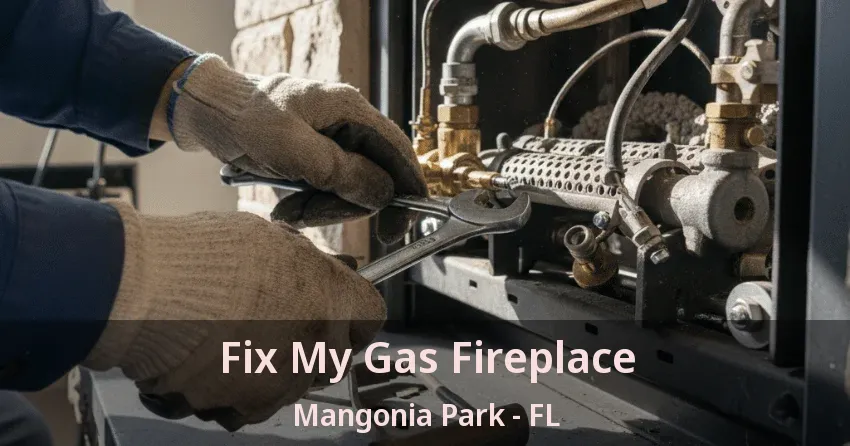 Fix My Gas Fireplace Mangonia Park - FL
