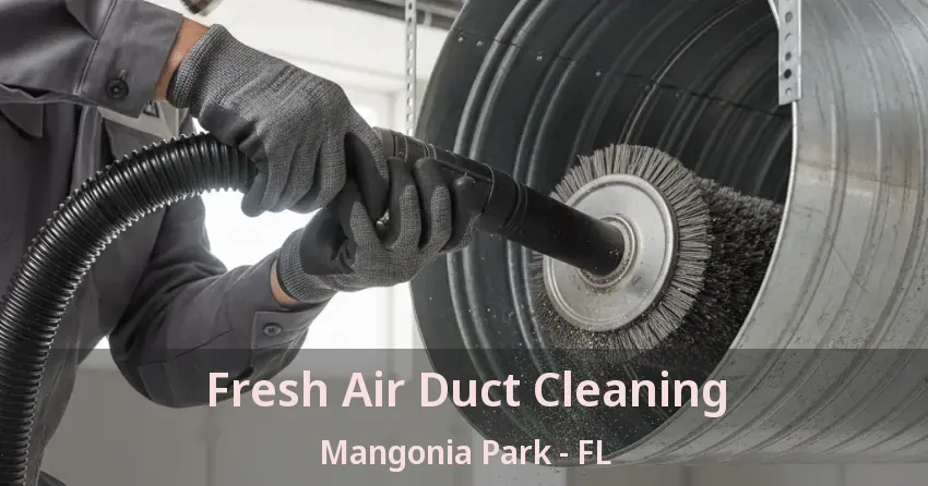 Fresh Air Duct Cleaning Mangonia Park - FL