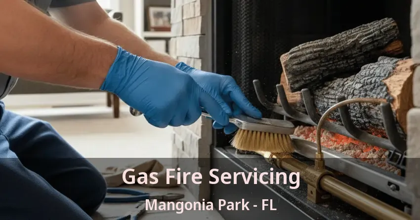 Gas Fire Servicing Mangonia Park - FL