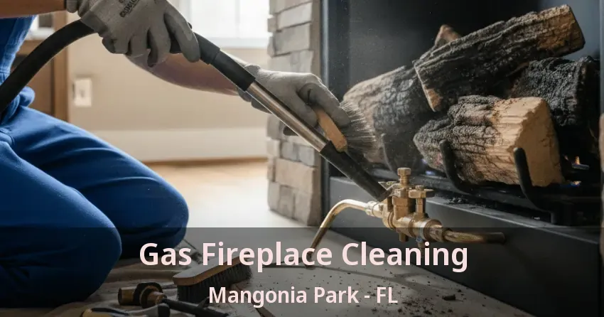Gas Fireplace Cleaning Mangonia Park - FL
