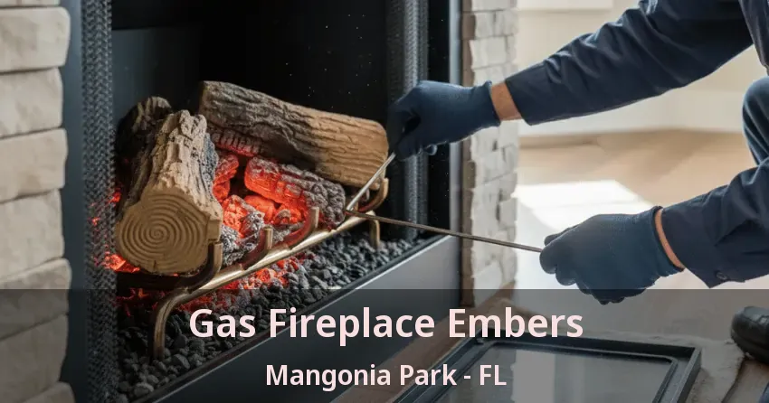 Gas Fireplace Embers Mangonia Park - FL