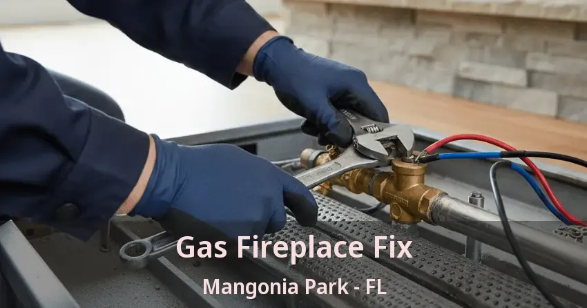 Gas Fireplace Fix Mangonia Park - FL