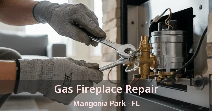 Gas Fireplace Repair Mangonia Park - FL