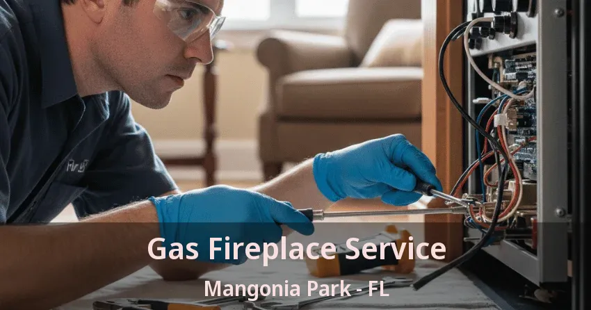 Gas Fireplace Service Mangonia Park - FL