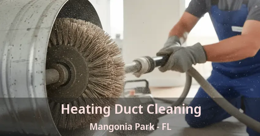 Heating Duct Cleaning Mangonia Park - FL