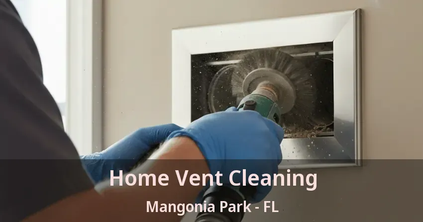 Home Vent Cleaning Mangonia Park - FL