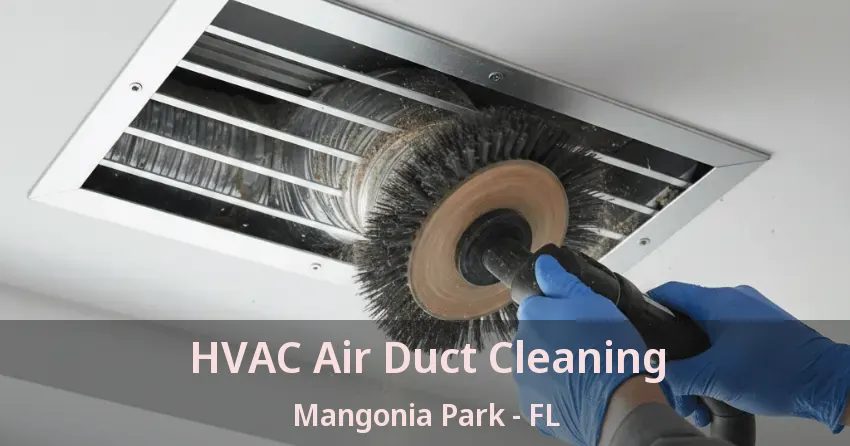 HVAC Air Duct Cleaning Mangonia Park - FL