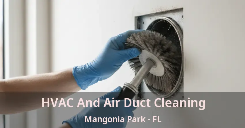 HVAC And Air Duct Cleaning Mangonia Park - FL