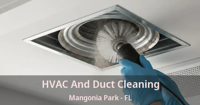 HVAC And Duct Cleaning Mangonia Park - FL