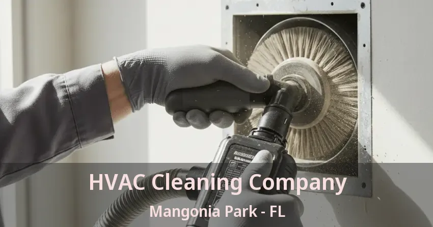 HVAC Cleaning Company Mangonia Park - FL