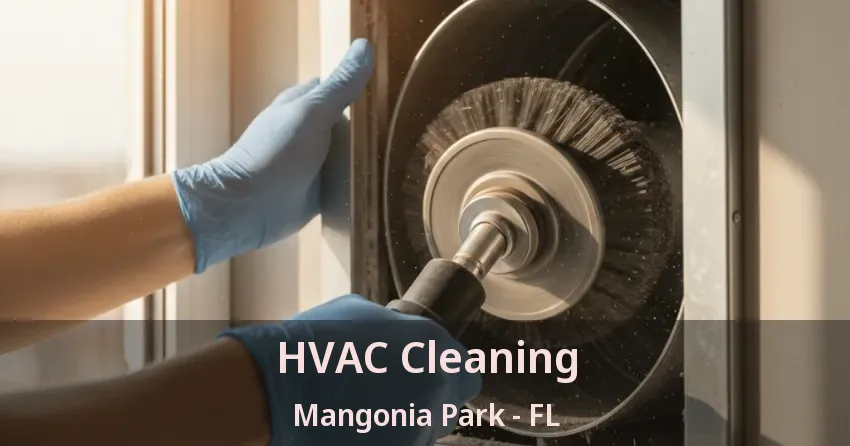 HVAC Cleaning Mangonia Park - FL HVAC Cleaning Mangonia Park - FL