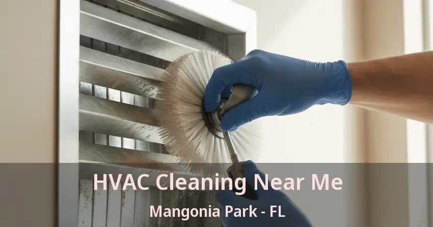 HVAC Cleaning Near Me Mangonia Park - FL