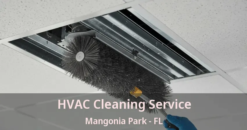 HVAC Cleaning Service Mangonia Park - FL HVAC Cleaning Service Mangonia Park - FL