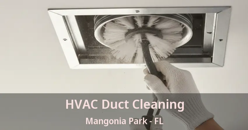 HVAC Duct Cleaning Mangonia Park - FL