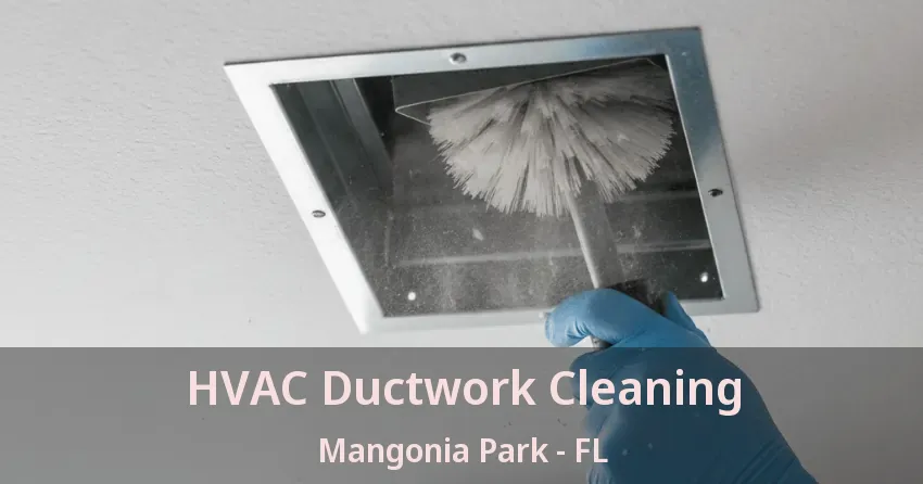 HVAC Ductwork Cleaning Mangonia Park - FL
