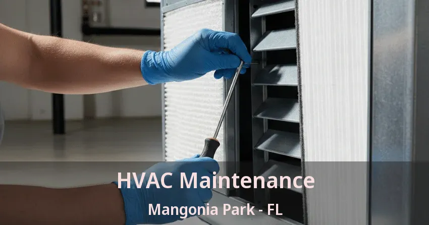 HVAC Maintenance Mangonia Park - FL