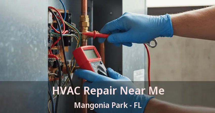 HVAC Repair Near Me Mangonia Park - FL