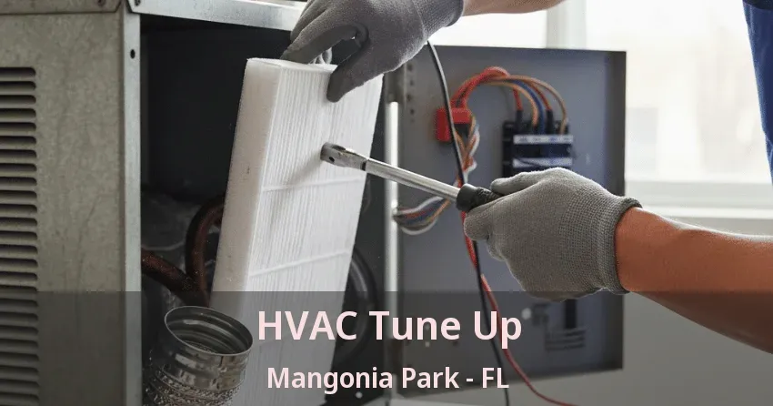 HVAC Tune Up Mangonia Park - FL HVAC Tune Up Mangonia Park - FL