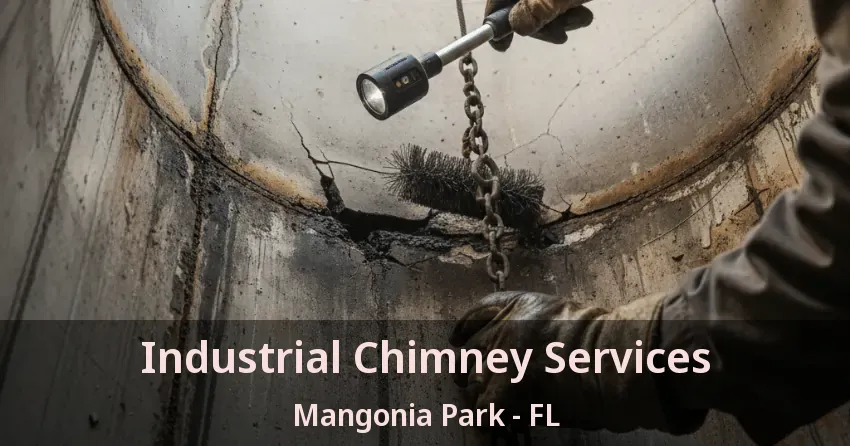 Industrial Chimney Services Mangonia Park - FL