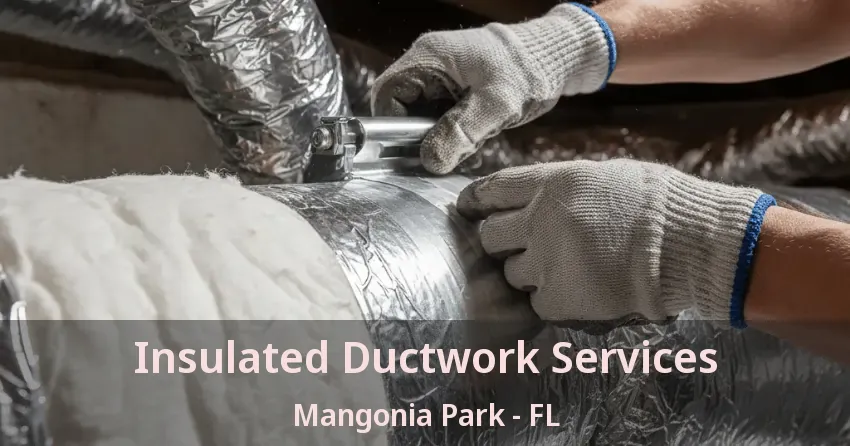 Insulated Ductwork Services Mangonia Park - FL
