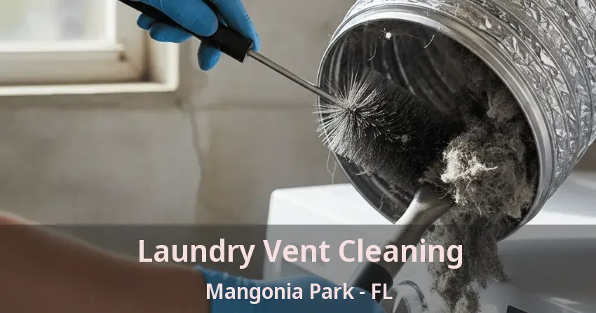 Laundry Vent Cleaning Mangonia Park - FL