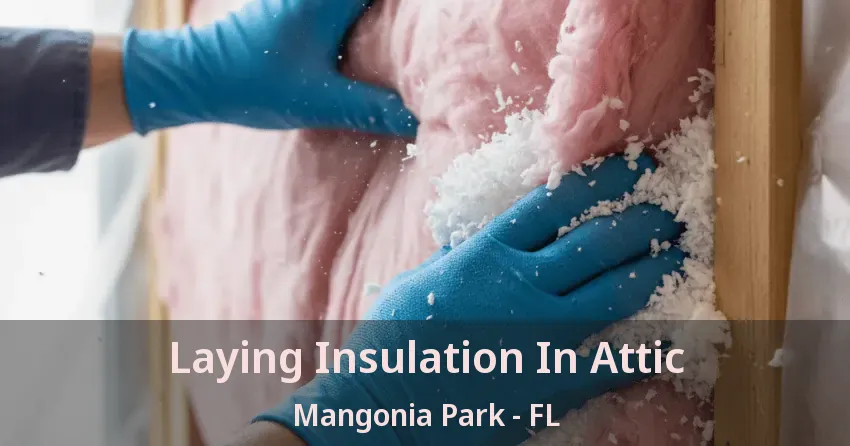 Laying Insulation In Attic Mangonia Park - FL