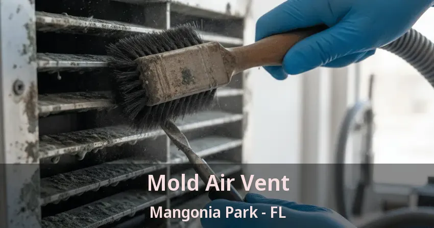 Mold Air Vent Mangonia Park - FL