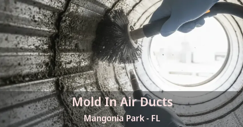 Mold In Air Ducts Mangonia Park - FL