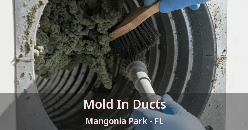 Mold In Ducts Mangonia Park - FL